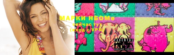соль ск Каменногорск