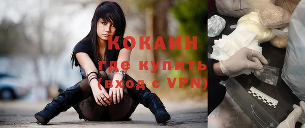 стафф Каменка
